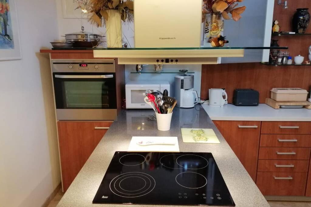 Beste Lage Im Zentrum Und Am Hofgarten 150Qm Mit Klima, 2Xbalkon, Aufzug, Familienfreundlich Байройт Екстер'єр фото